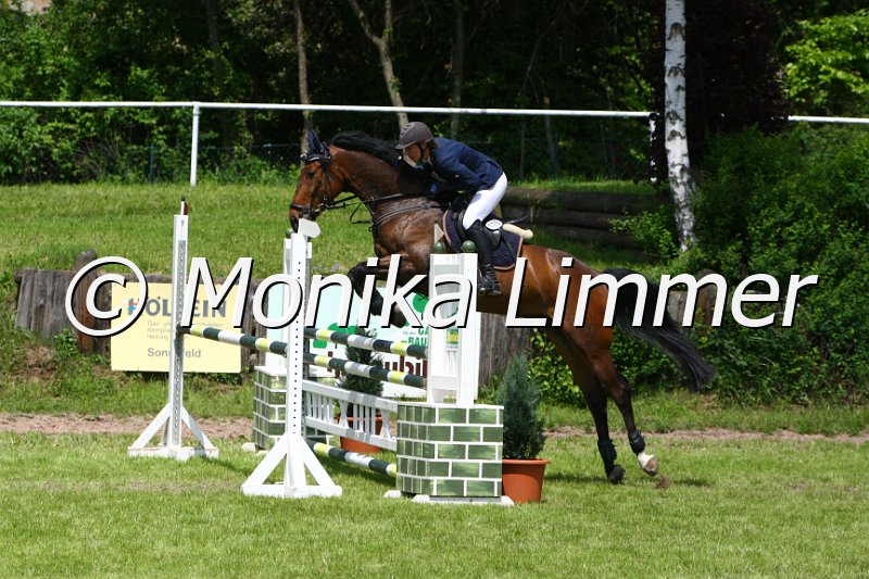 005M4984_Lando_L Springen.JPG